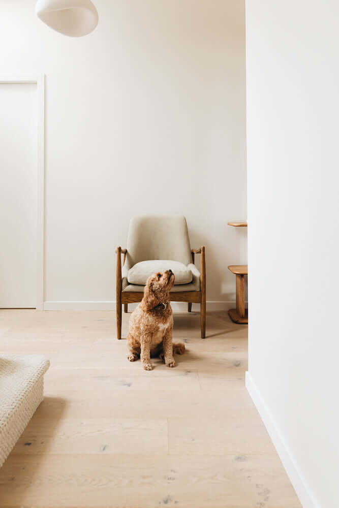 Steiner Armchair-FurniturebyDesign.