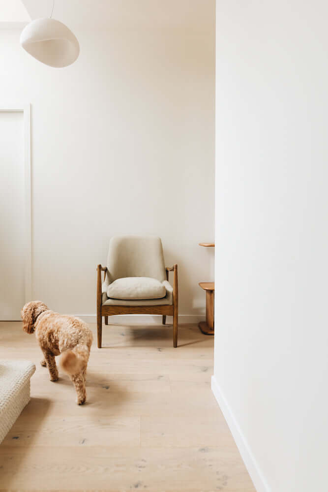 Steiner Armchair-FurniturebyDesign.