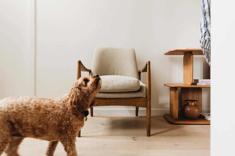 Steiner Armchair-FurniturebyDesign.