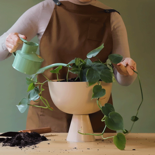 
                      
                        Vera Large Vessel - Sand-FurniturebyDesign.
                      
                    