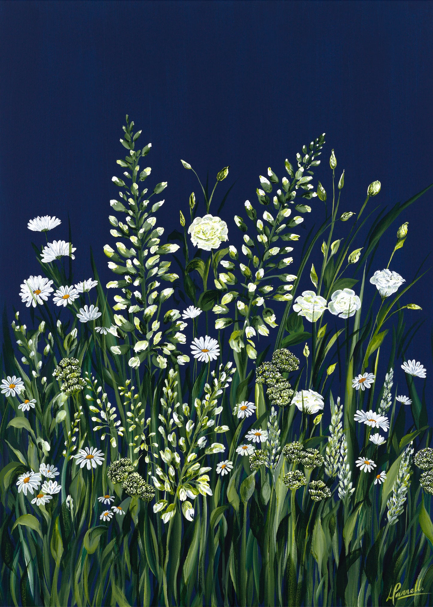 Lizzie Pannell - Dark Secrets 15/30 Edition Print-FurniturebyDesign.