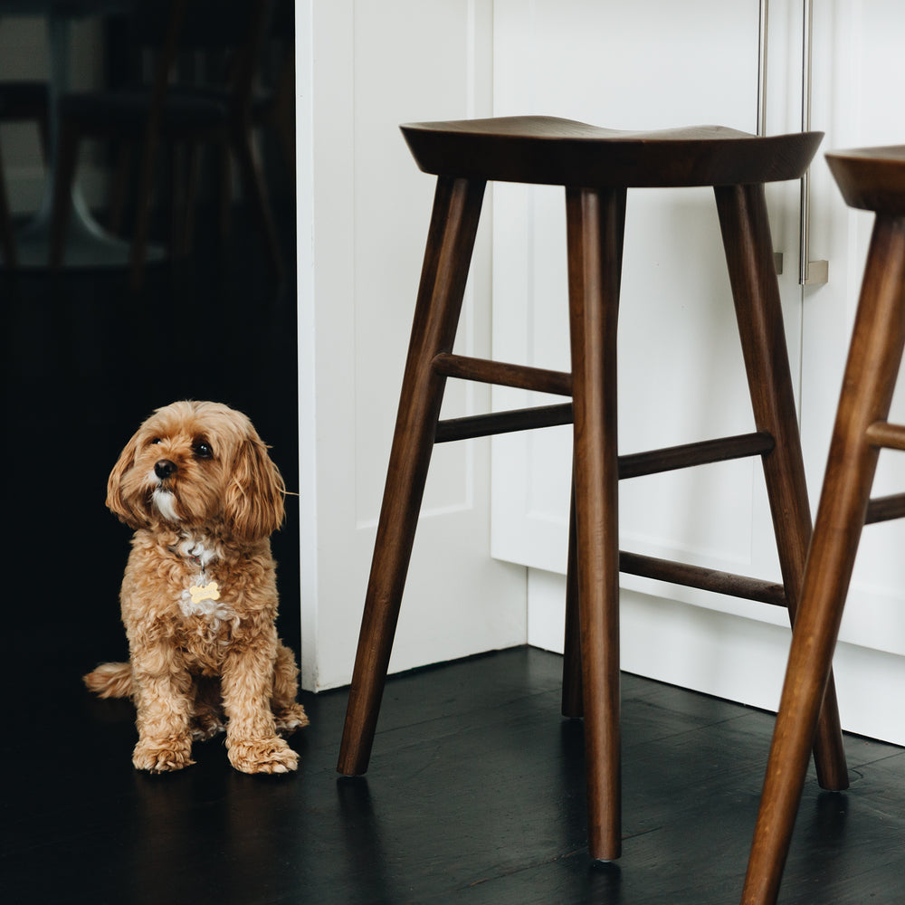 
                      
                        Fuji bar stool with A-line legs and natural woodgrain next to a small brown dog in a modern kitchen setting.
                      
                    