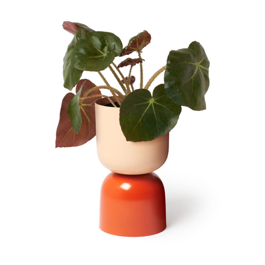 Tone Planter - Sunset-FurniturebyDesign.