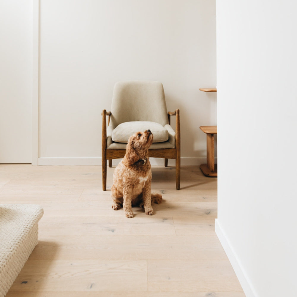 FurniturebyDesign.