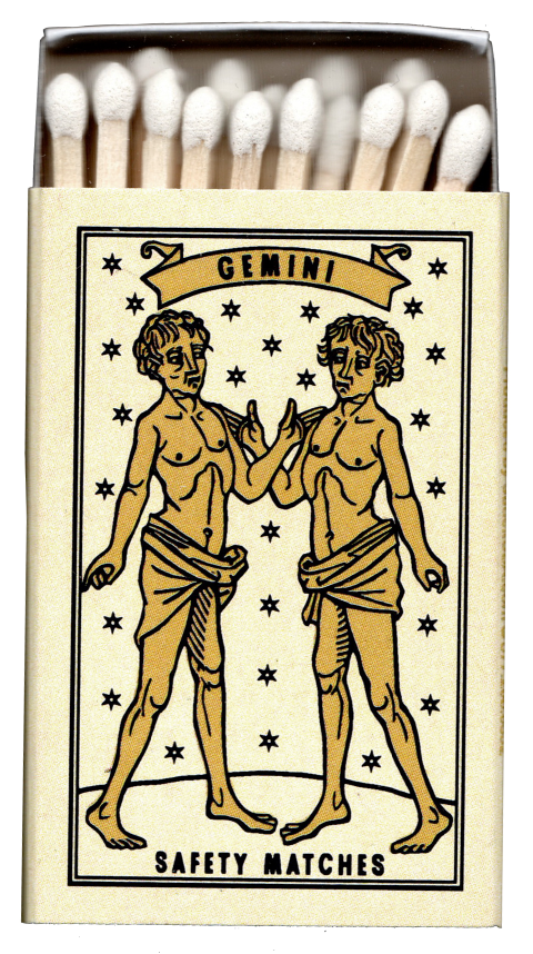 Gemini - Astro Logical Zodiac Matchbox