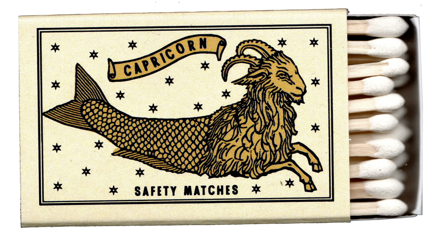 Capricorn - Astro Logical Zodiac Matchbox
