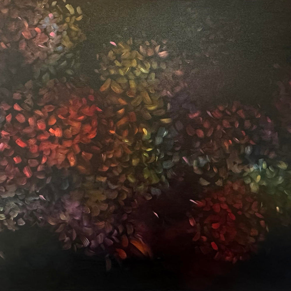 Jane Blackmore - Hydrangas